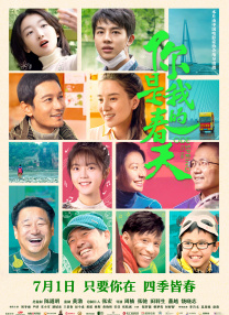 百分百的实际政事